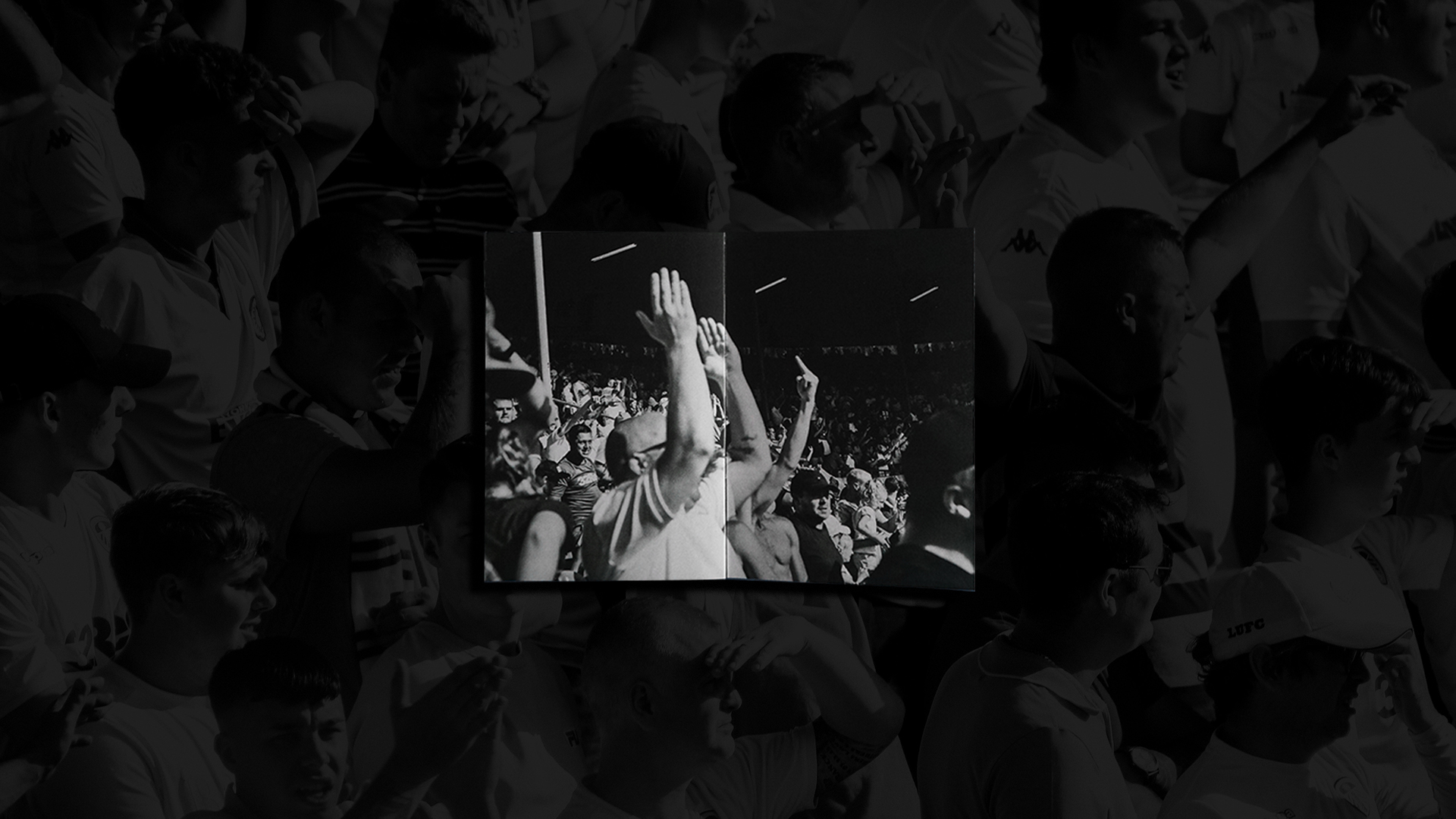 fanzinedentro